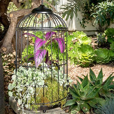 SuperMoss BH Bird Cage